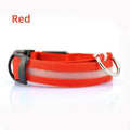 Dog luminous collar, USB charging dog collar, large and small LED pet anti lost collar