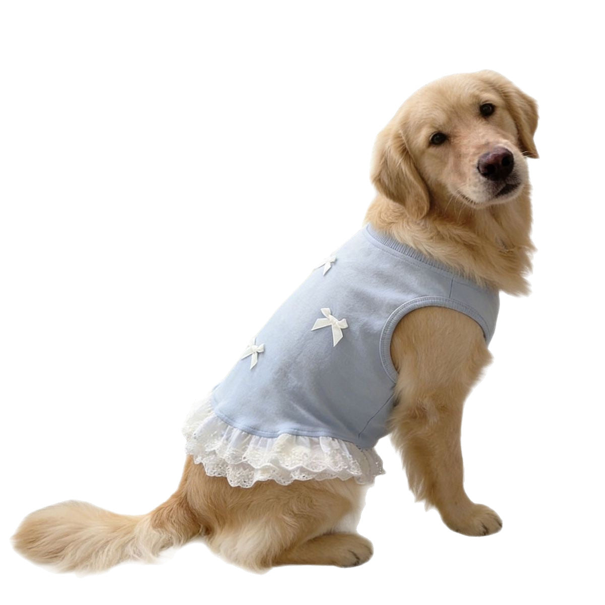 Lace Trimmed Breathable Dog Vest