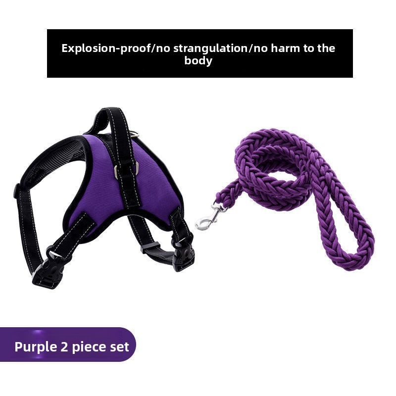 Adjustable Nylon Dog Harness and Leash Set