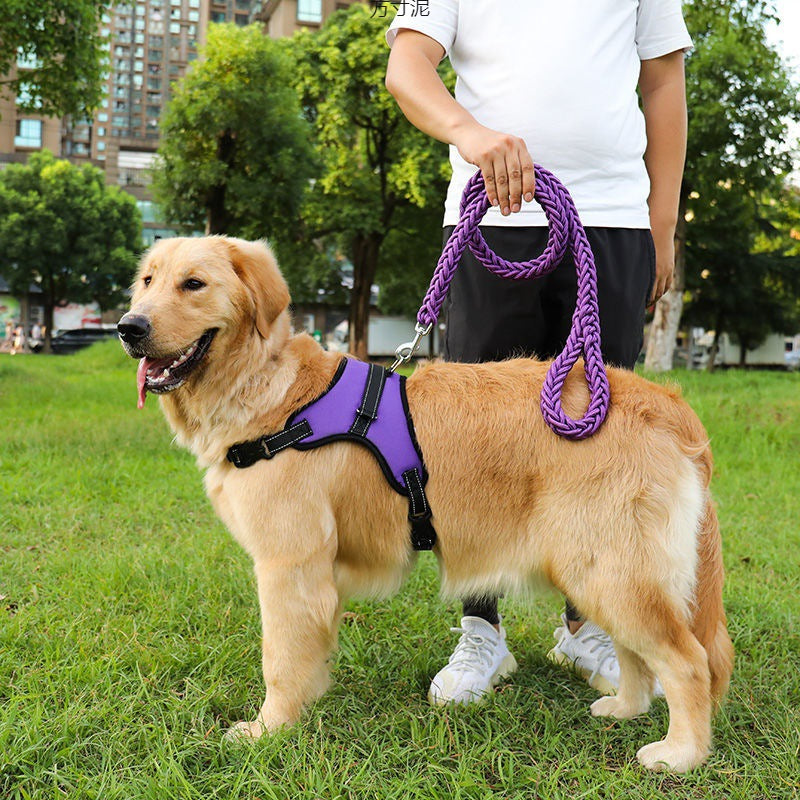 Adjustable Nylon Dog Harness and Leash Set