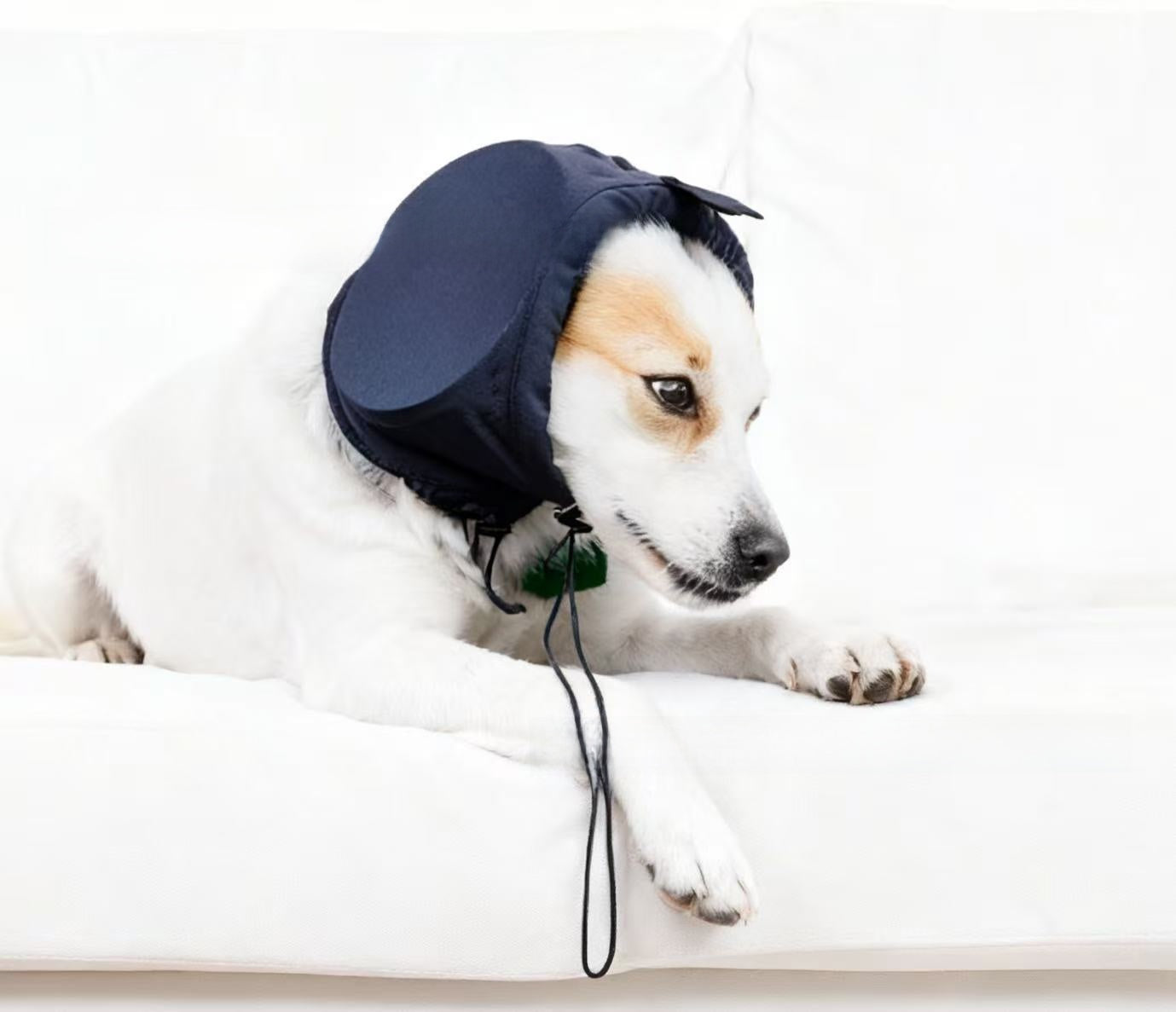 Pet Earmuffs