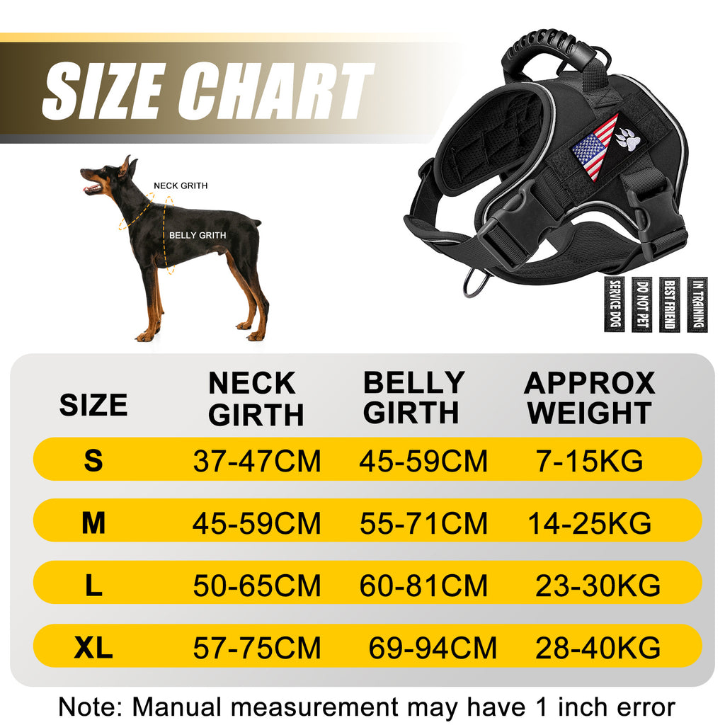 Pet Leash