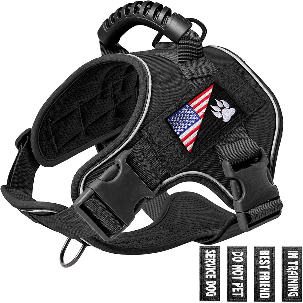 Pet Leash