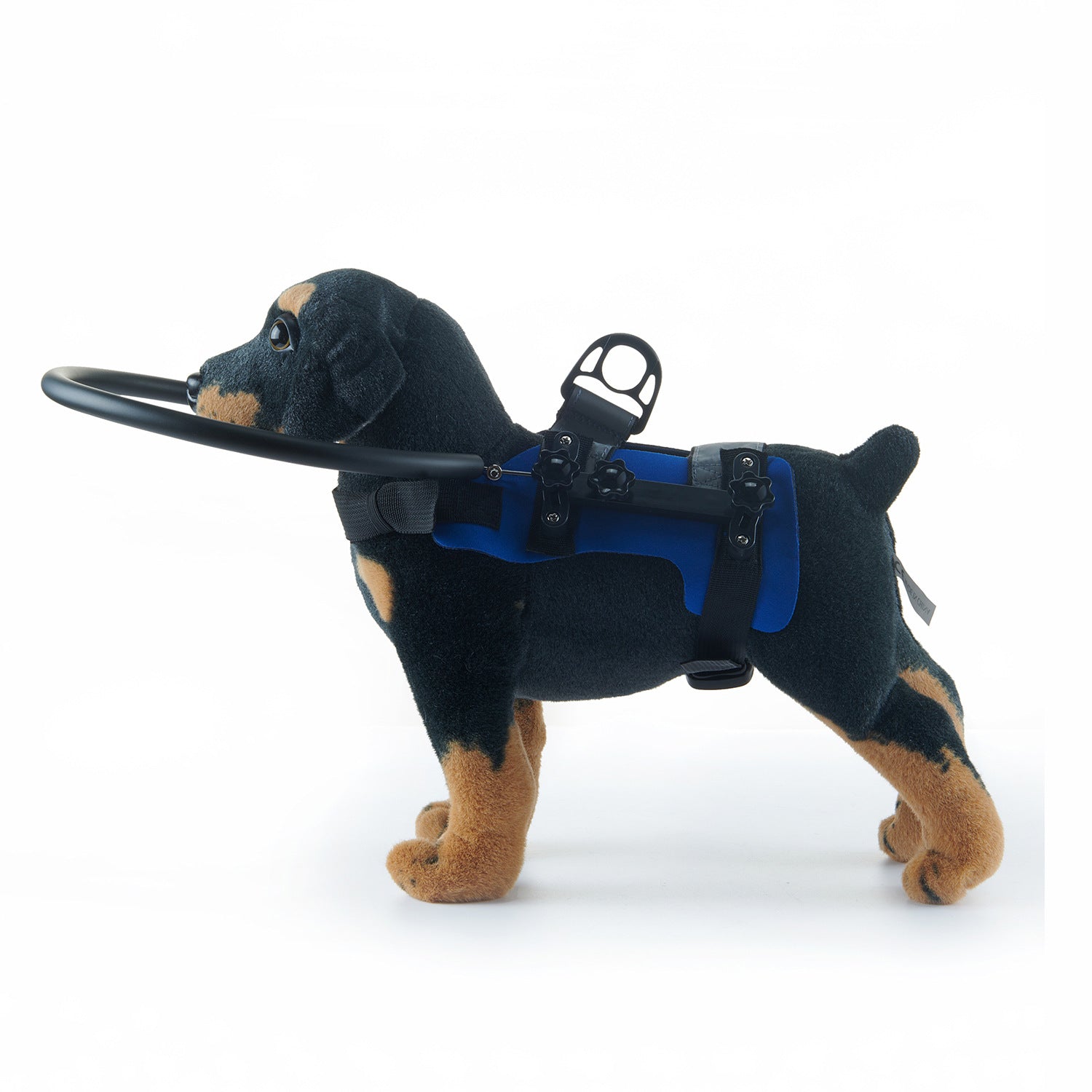 Adjustable Pet Safety Collision Protection Ring
