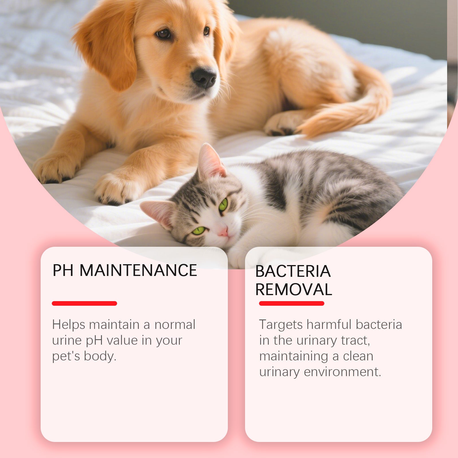 Cat and Dog Care Drops