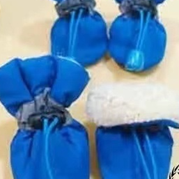 Pet Dog Shoes
