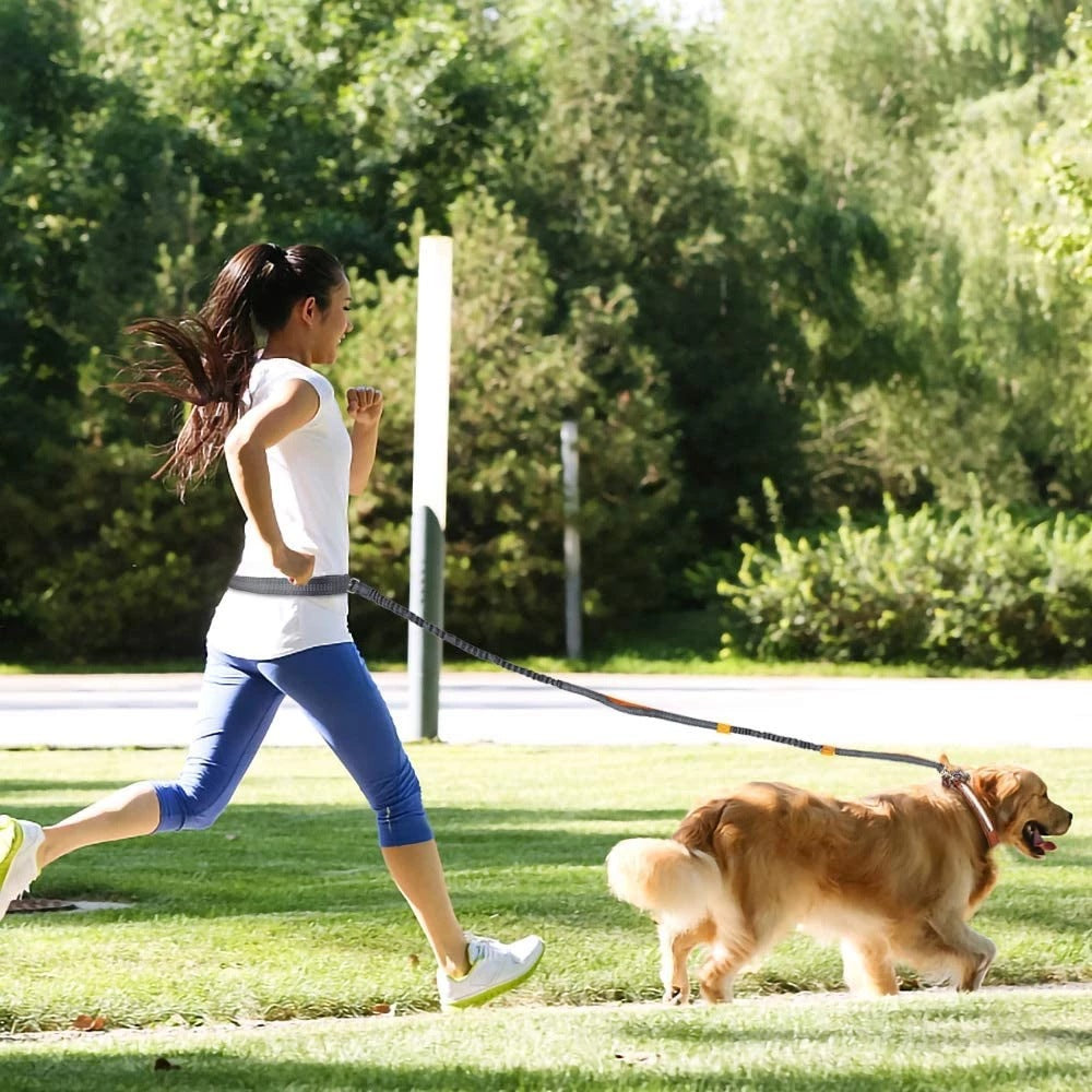 Adjustable Hands-Free Dog Leas