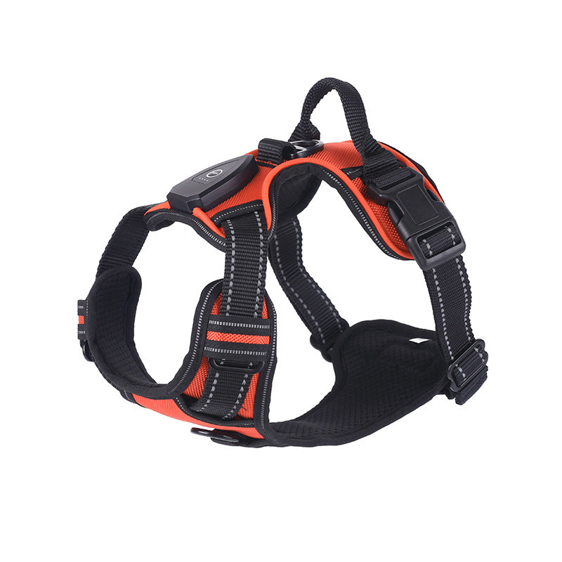 LED flashing dog leash for outdoor use