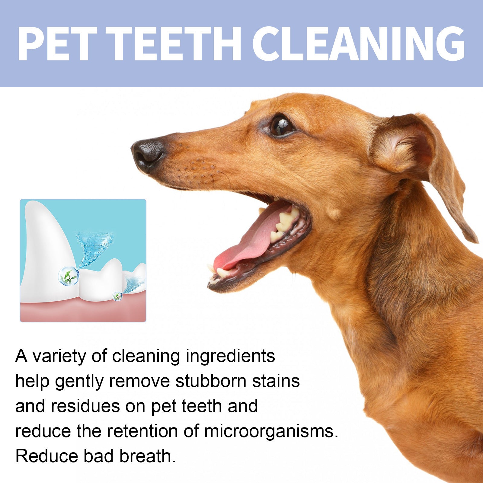 Pet Dental Cleaning Toothpaste