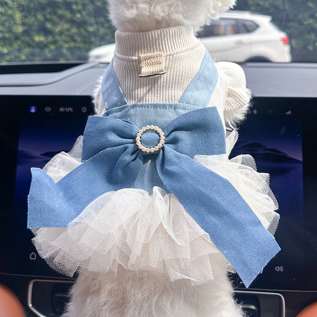 Cute Denim Pet Skirt
