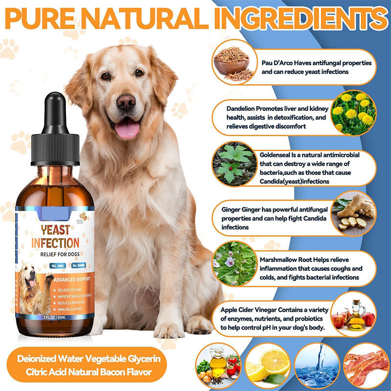 pet vitamin supplement