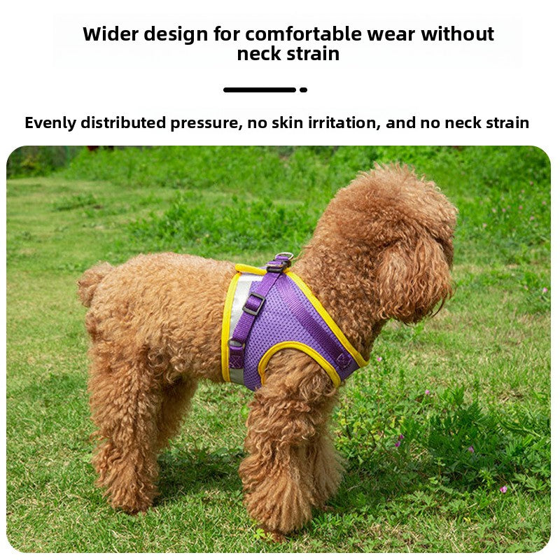 Dog leash on chest harness