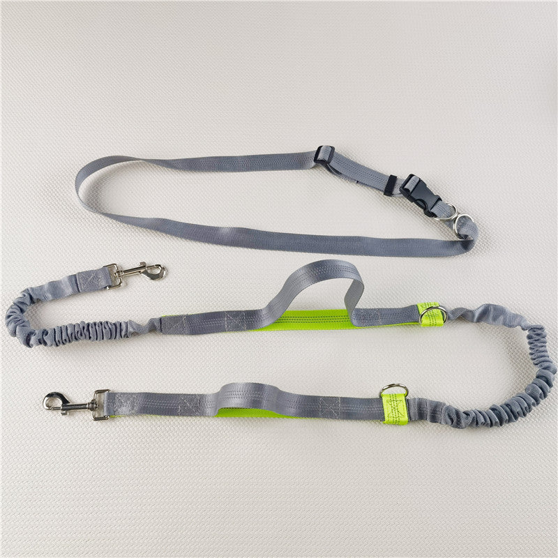 Adjustable Hands-Free Dog Leas