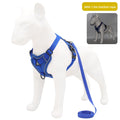 Pet leash