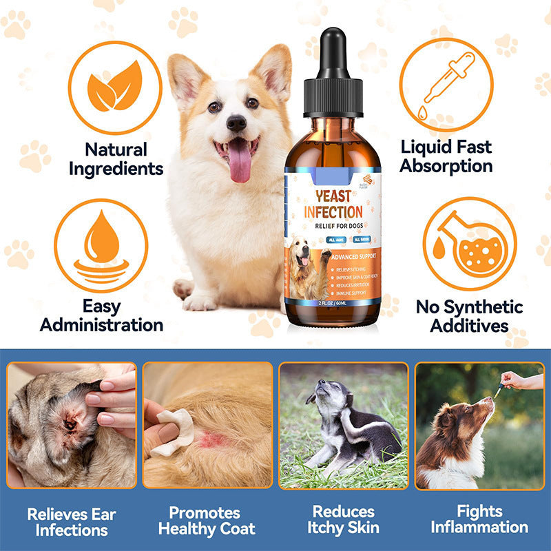 pet vitamin supplement