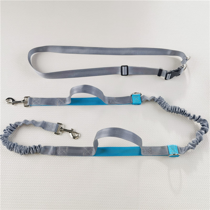 Adjustable Hands-Free Dog Leas