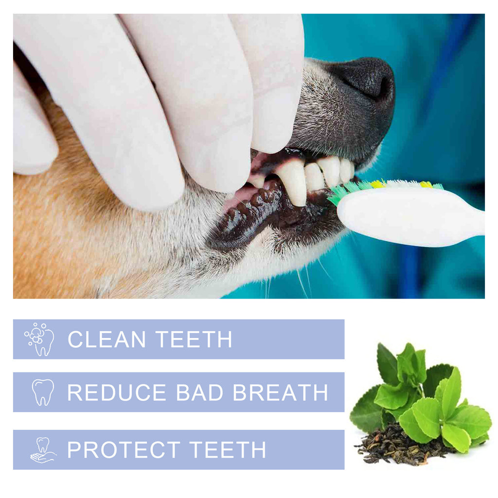 Pet Dental Cleaning Toothpaste