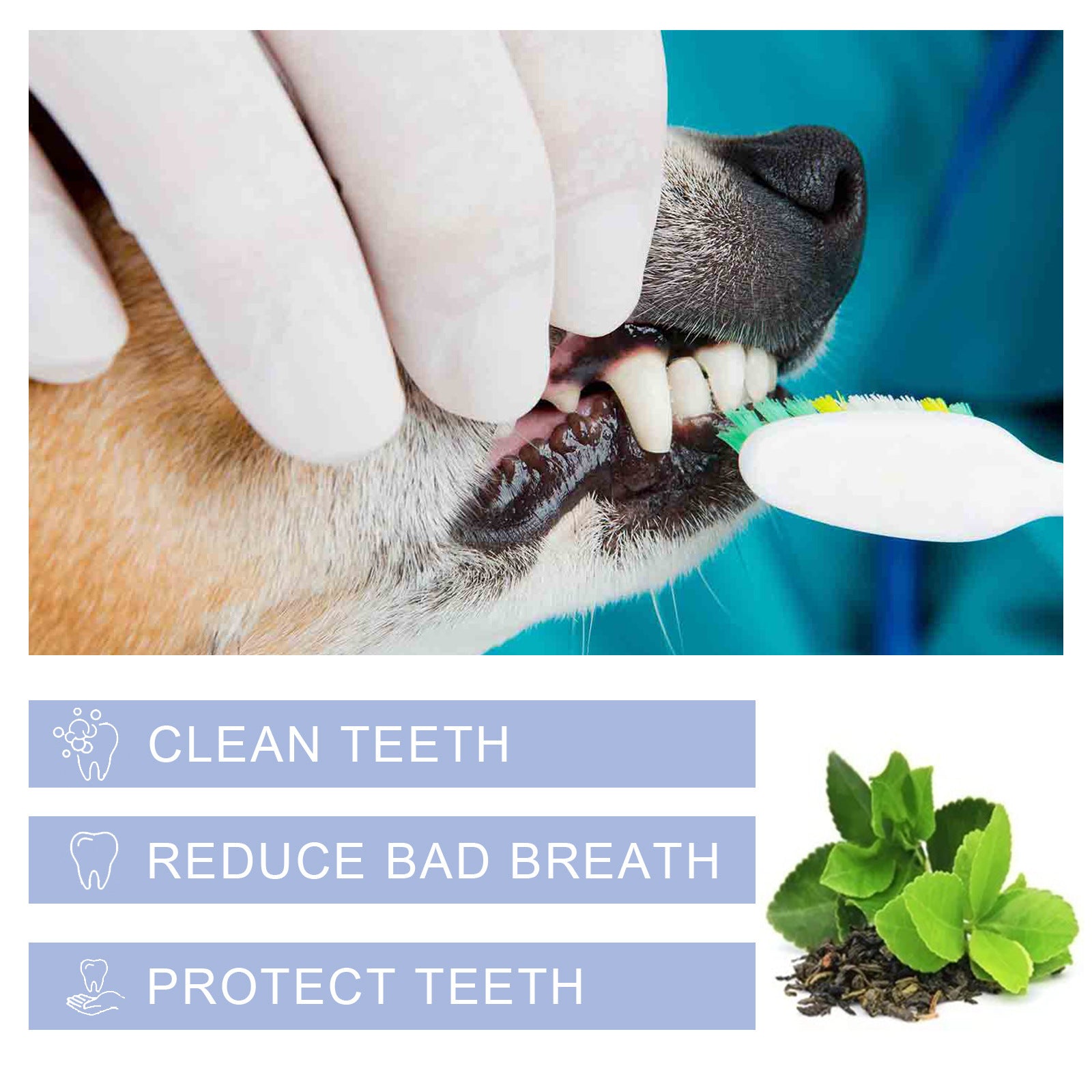 Pet Dental Cleaning Toothpaste