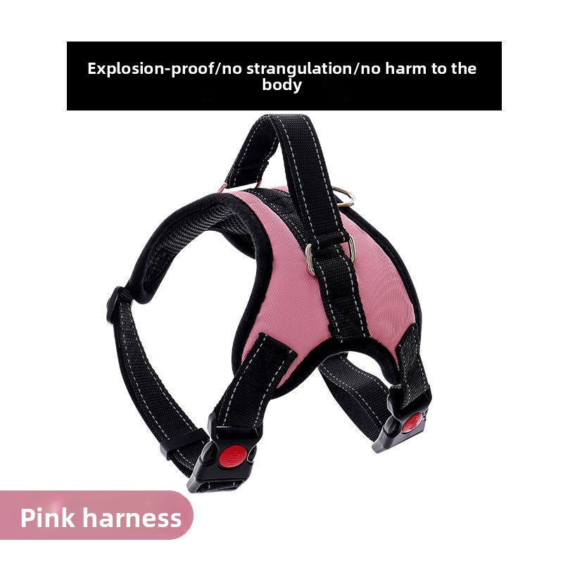 Adjustable Nylon Dog Harness and Leash Set