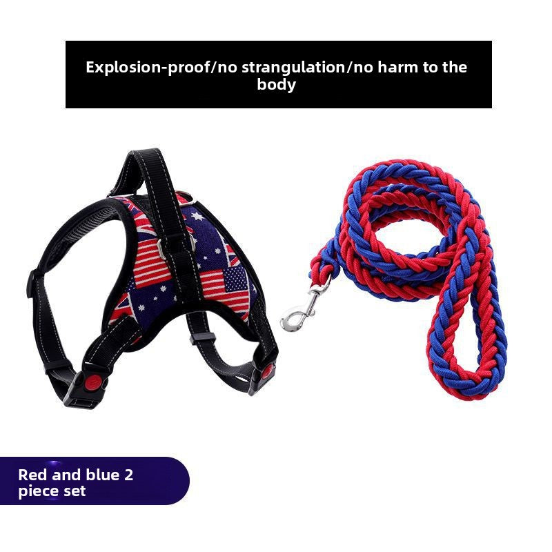 Adjustable Nylon Dog Harness and Leash Set