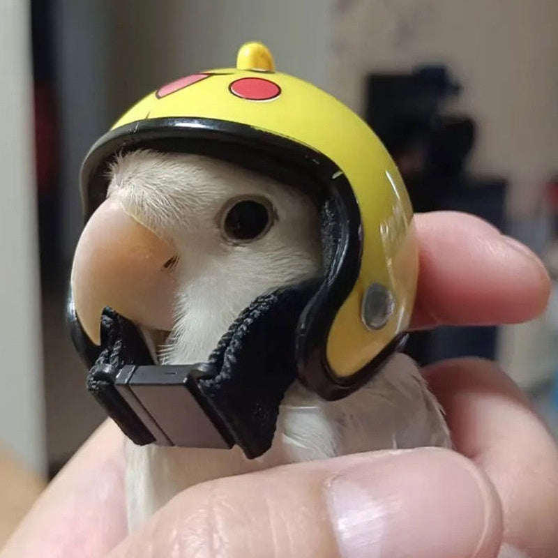 Animal Themed Anti Pecking Pet Helmet