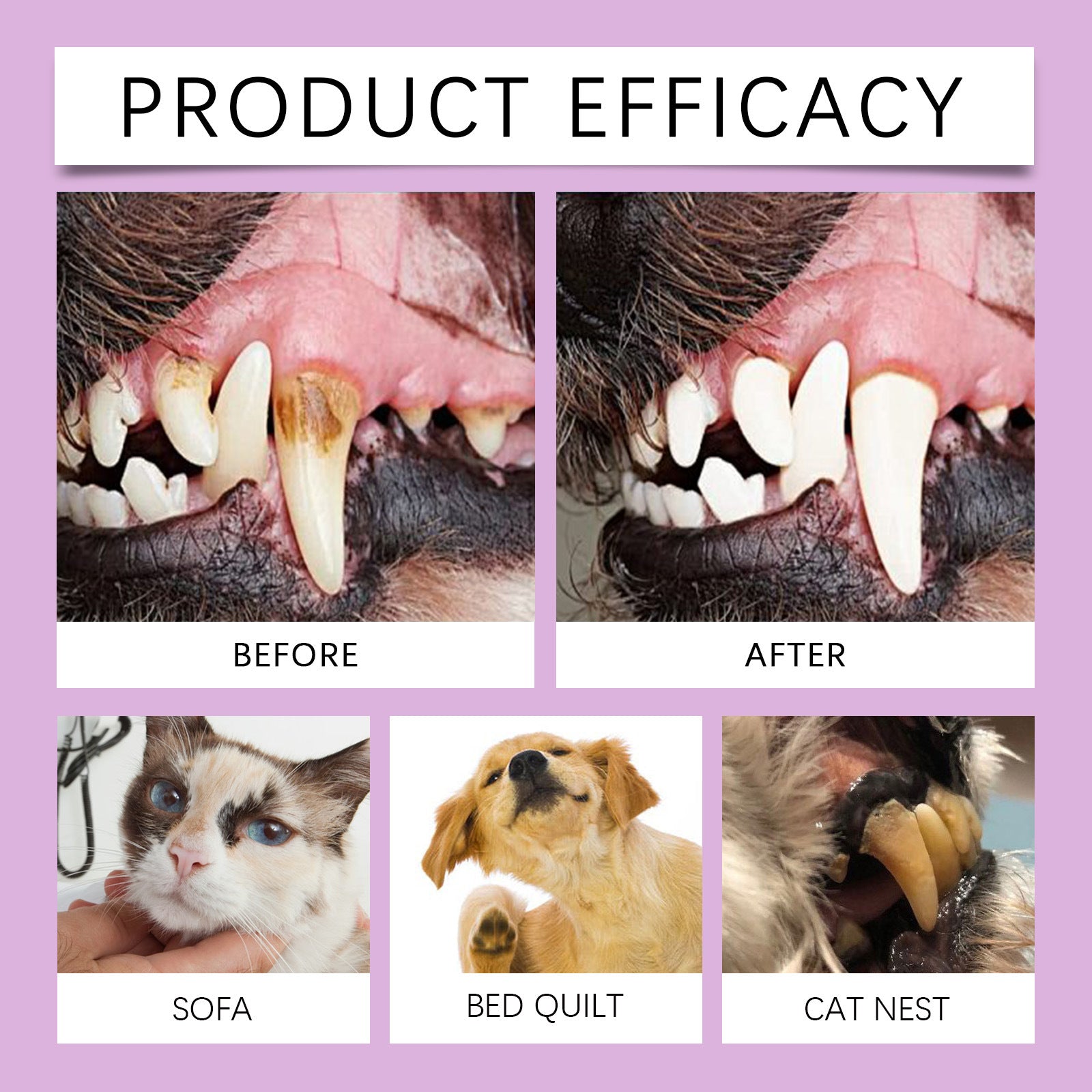 Pet Oral Spray