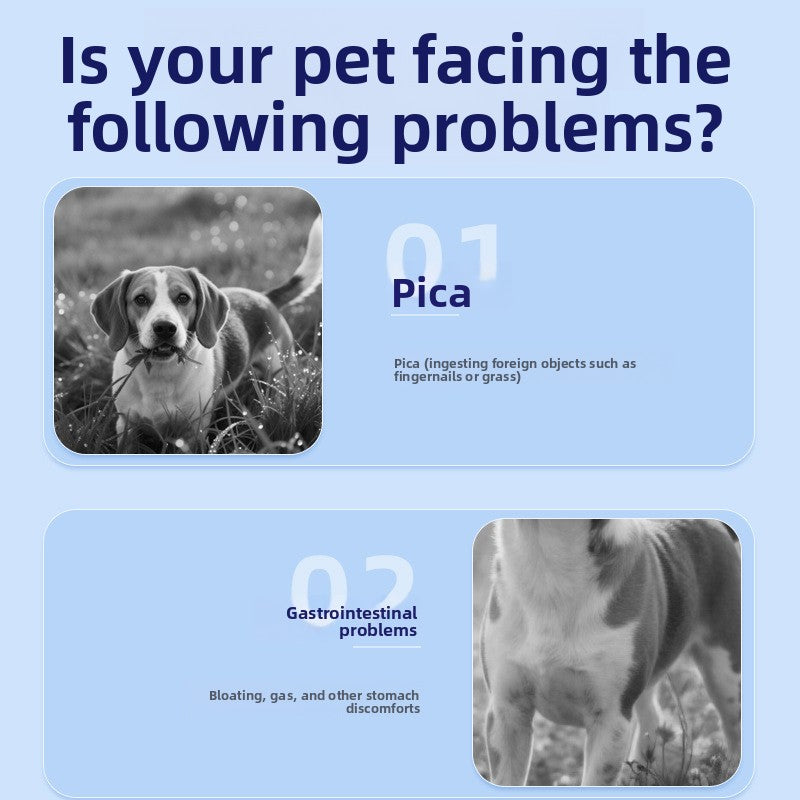 Pet Probiotic Soft Chewable Granules for Digestive Health