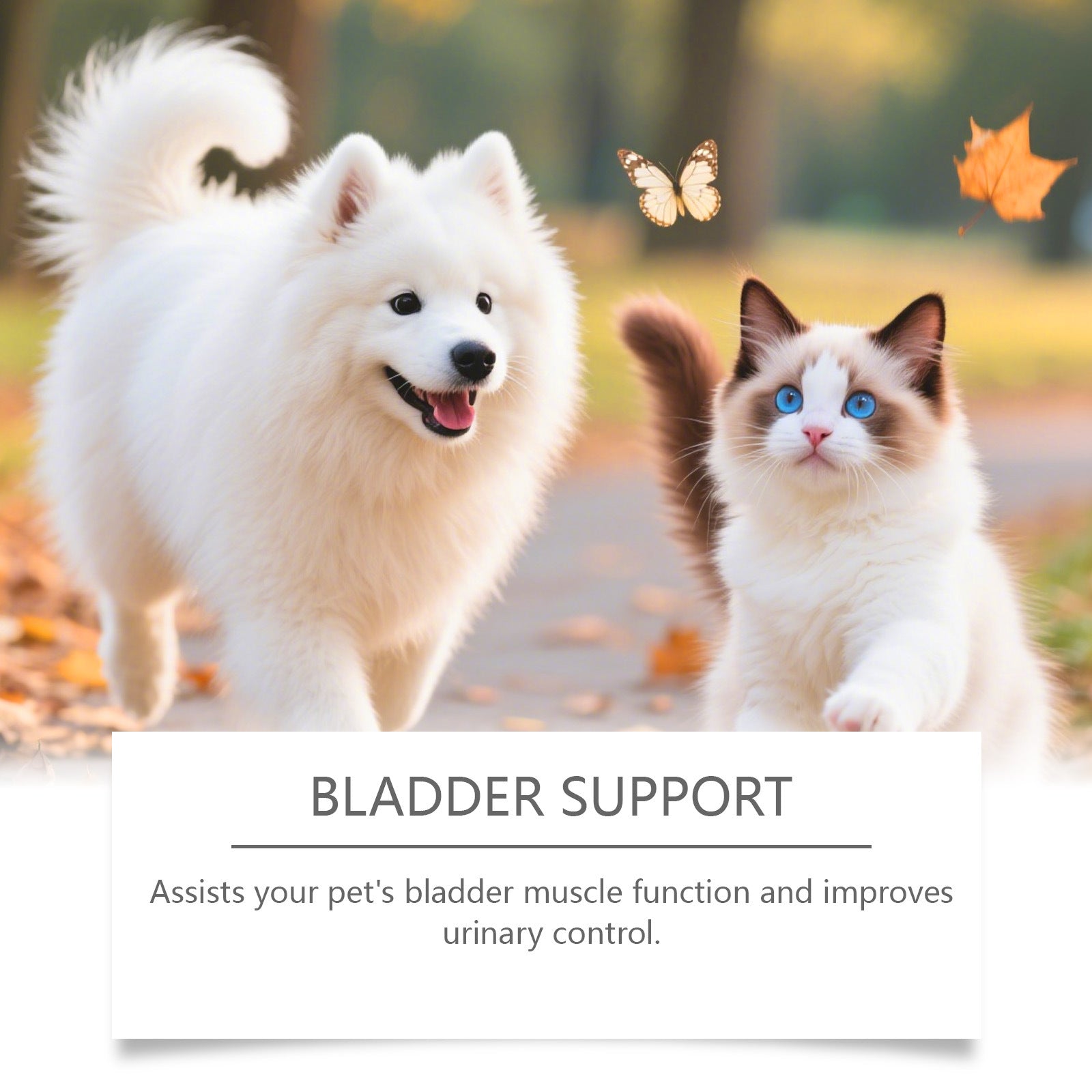 Cat and Dog Care Drops
