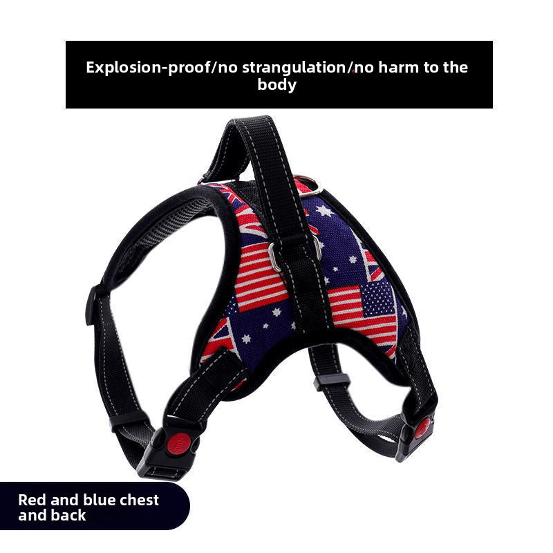 Adjustable Nylon Dog Harness and Leash Set