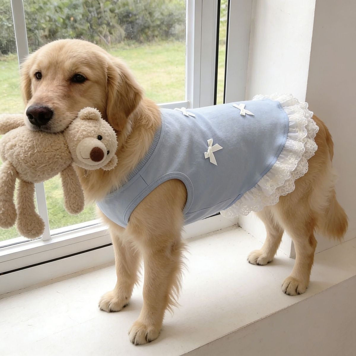 Lace Trimmed Breathable Dog Vest