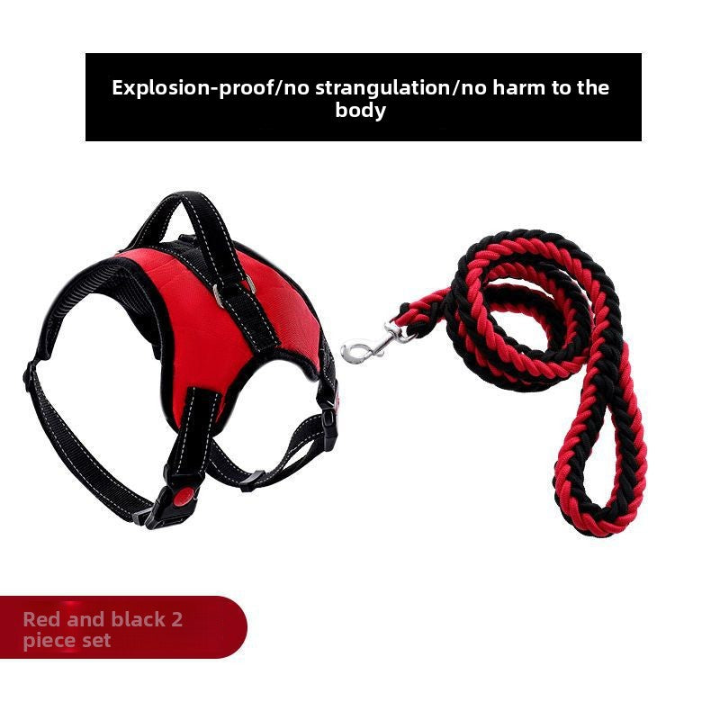 Adjustable Nylon Dog Harness and Leash Set