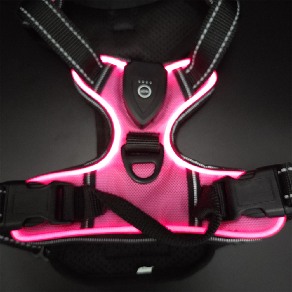 USB Rechargeable LED Light Up Dog Harness Leash