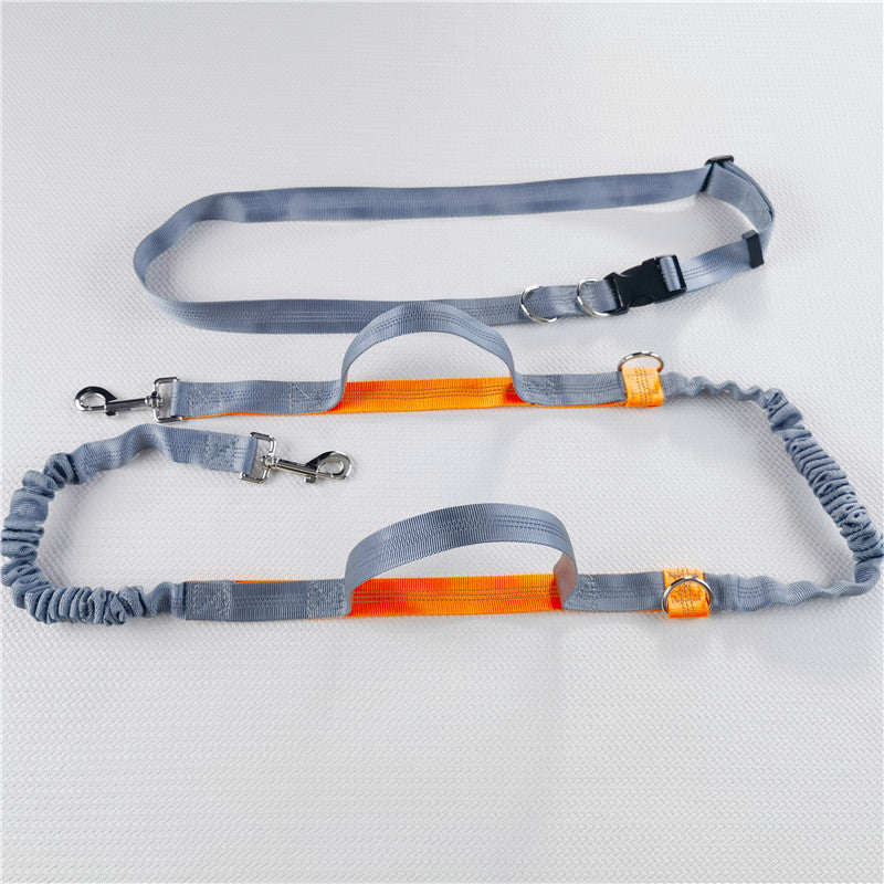 Adjustable Hands-Free Dog Leas