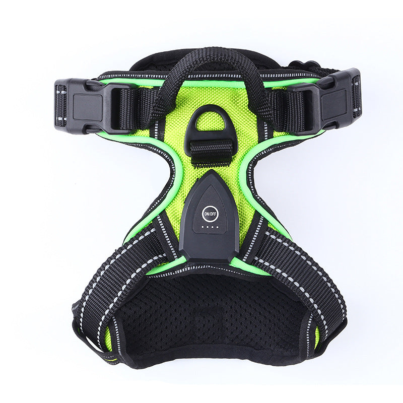 LED flashing dog leash for outdoor use