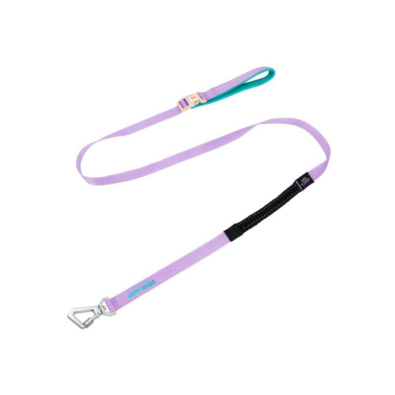 dog harness leash