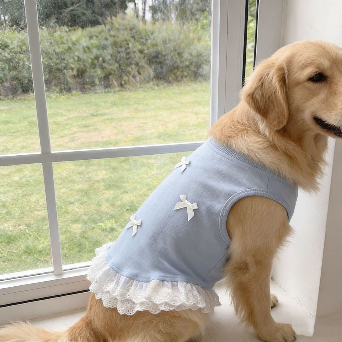 Lace Trimmed Breathable Dog Vest