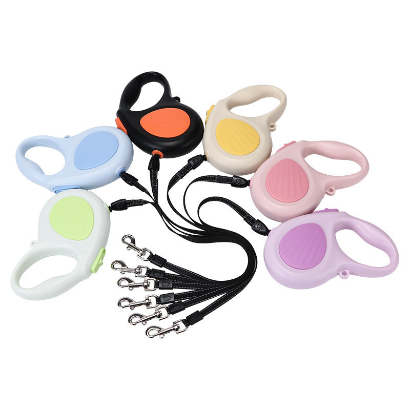 Retractable Dog Leash