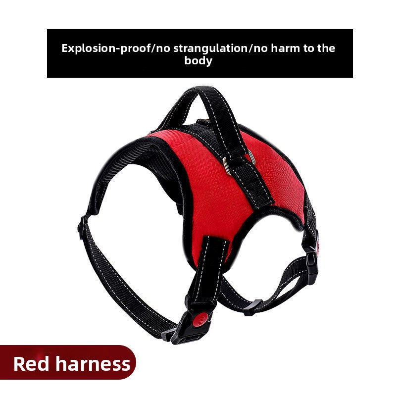 Adjustable Nylon Dog Harness and Leash Set