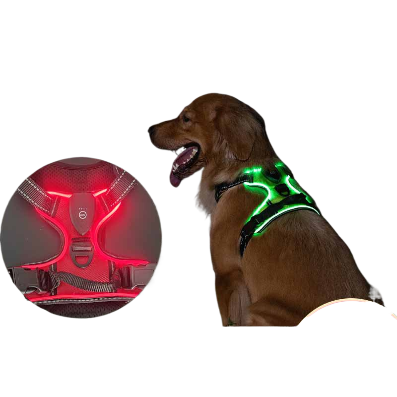 LED lighting pet harness leash