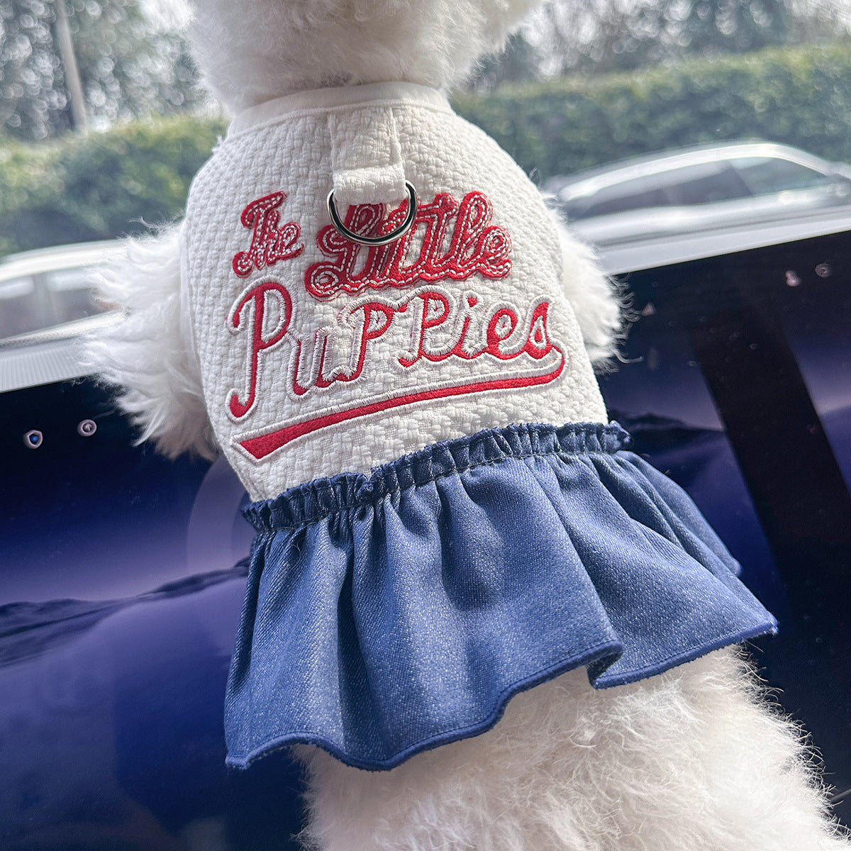 Cute Denim Pet Skirt