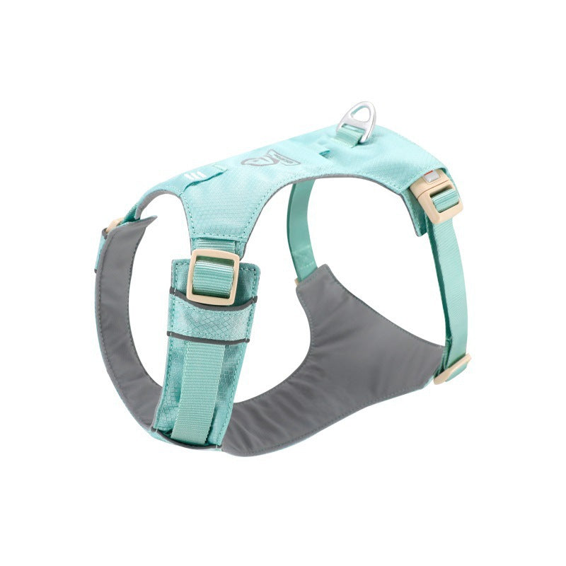 dog harness leash