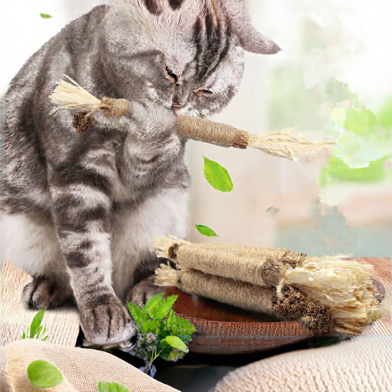 Cat Chew Toy