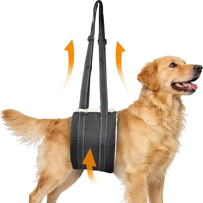 Pet Dog Rear Leg Injury Recovery Support Harness