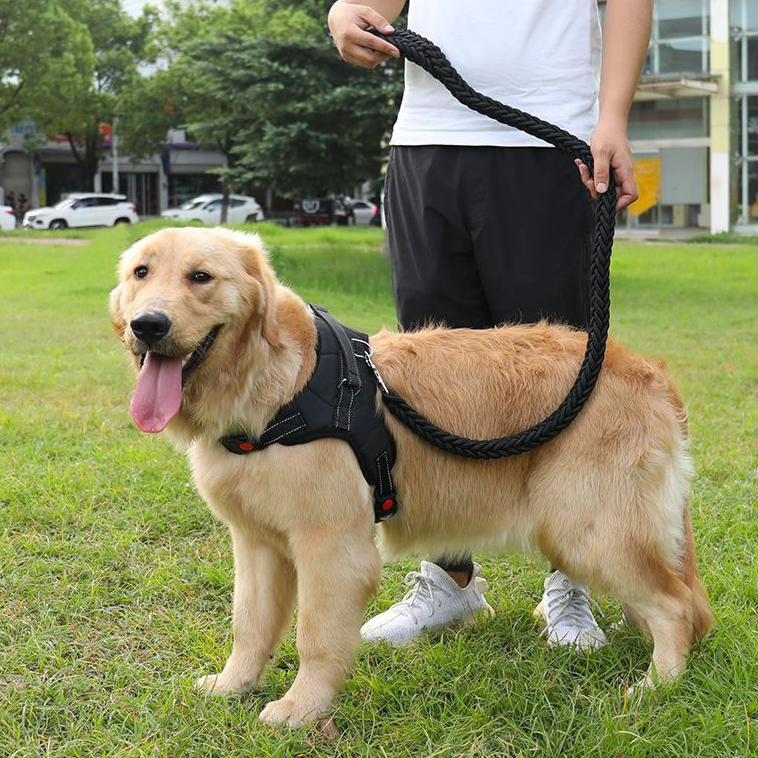 Adjustable Nylon Dog Harness and Leash Set