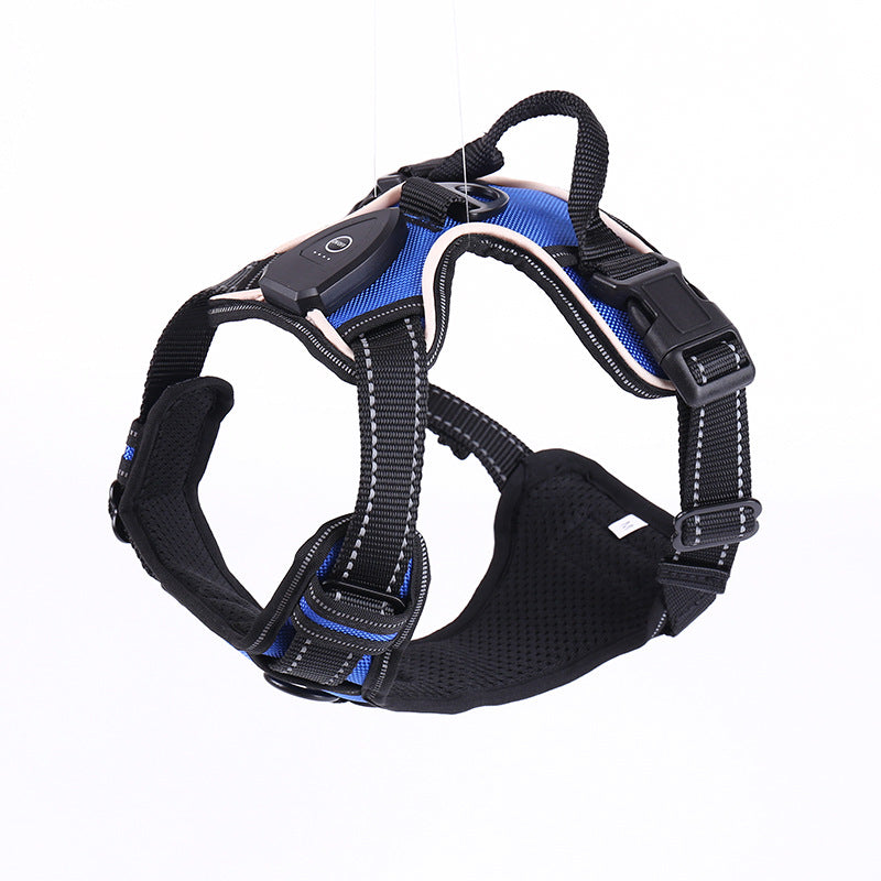 LED flashing dog leash for outdoor use