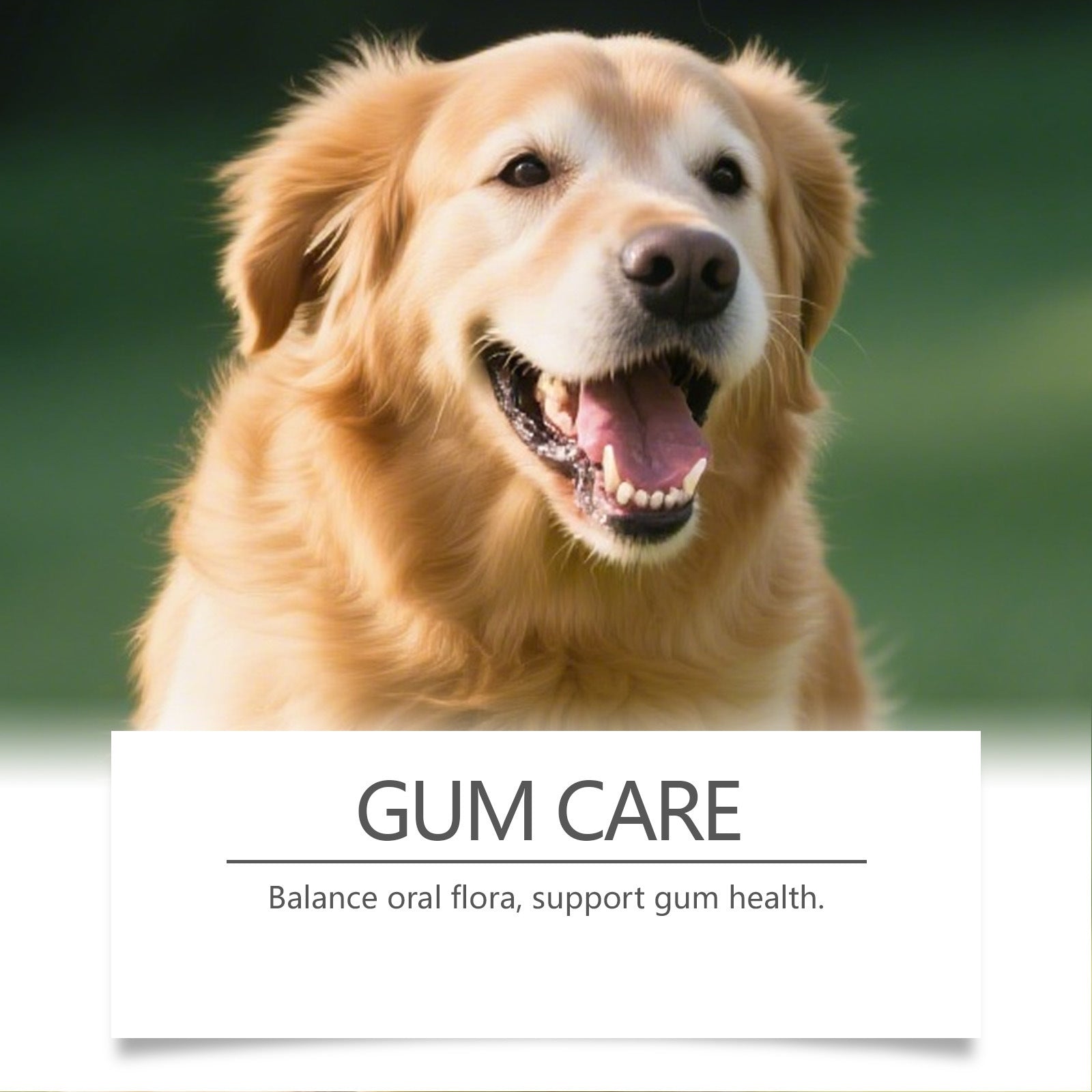 Pet Teeth Cleaning Powder for Cats and Dogs
