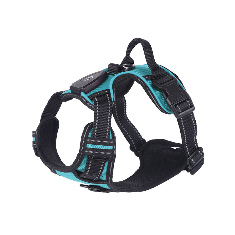 LED flashing dog leash for outdoor use
