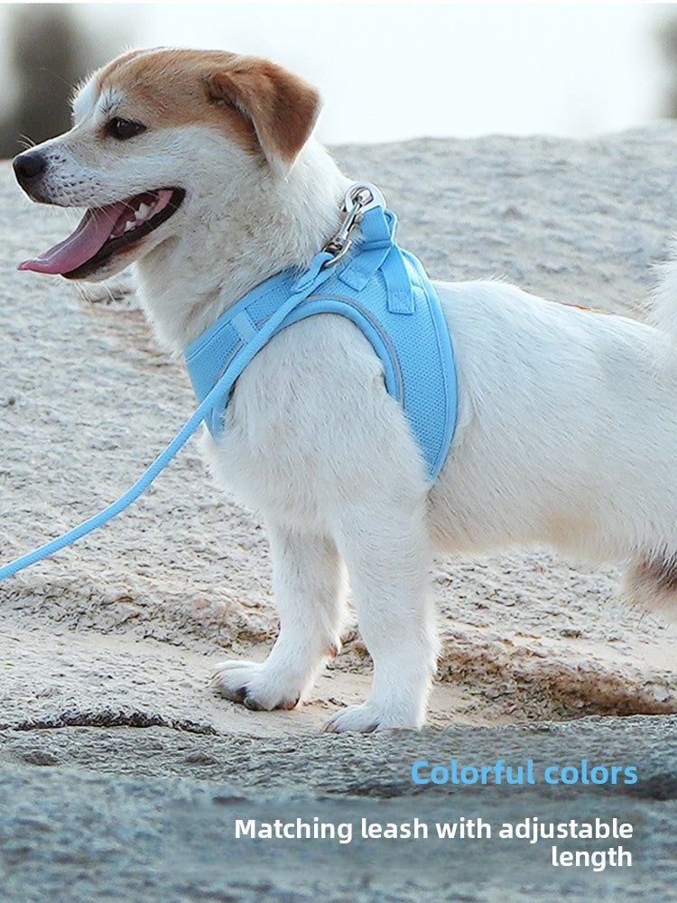 Dog Leash Vest