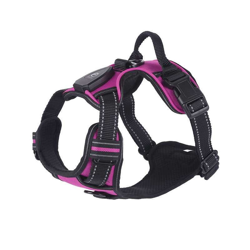 LED flashing dog leash for outdoor use
