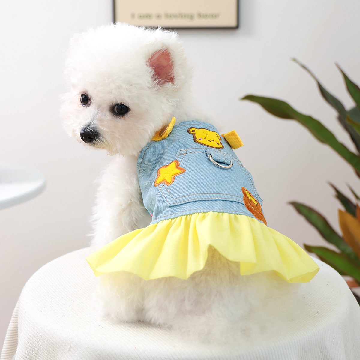 Cute Denim Pet Skirt